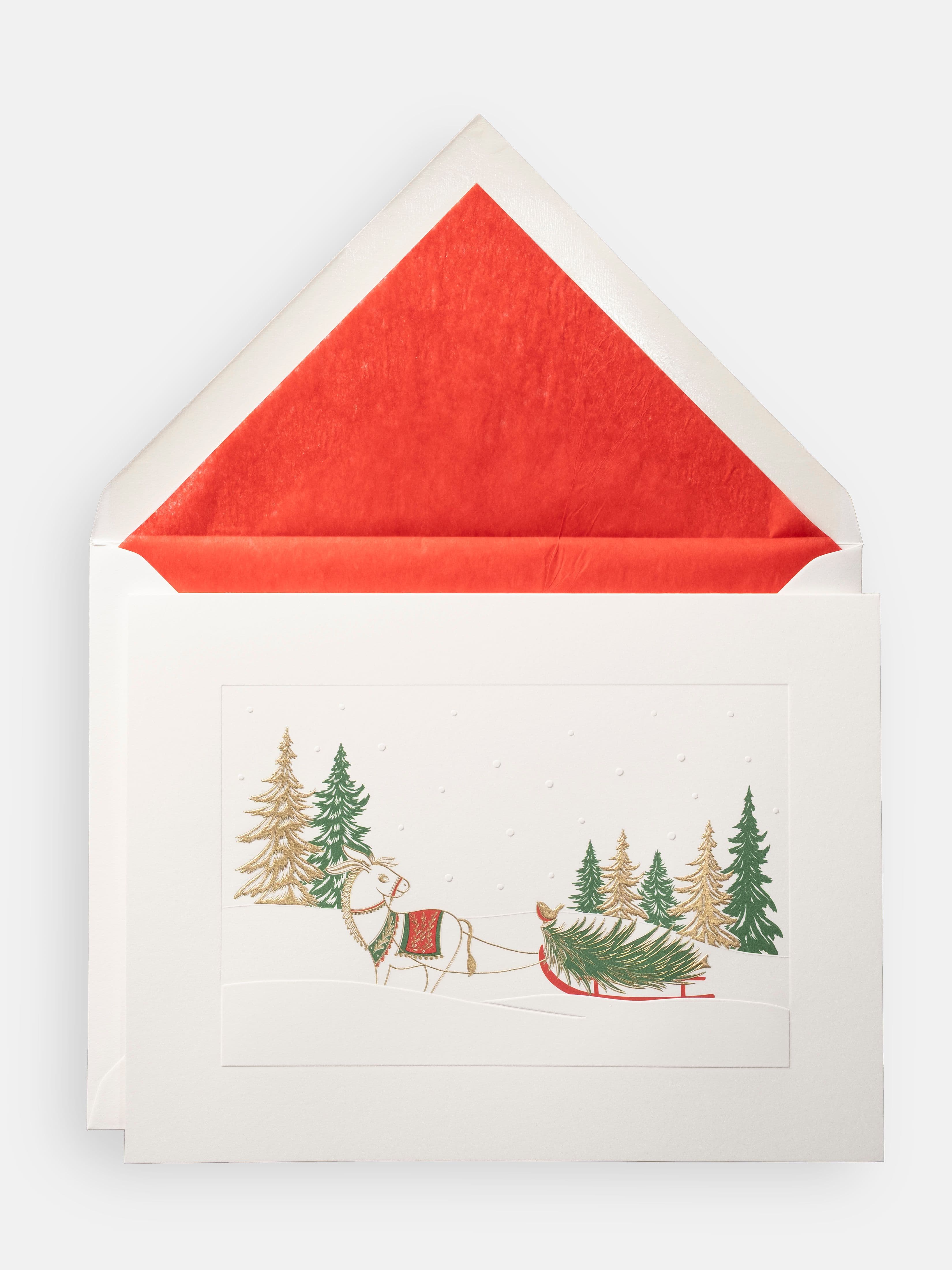 Good Ole Donkey Christmas Card