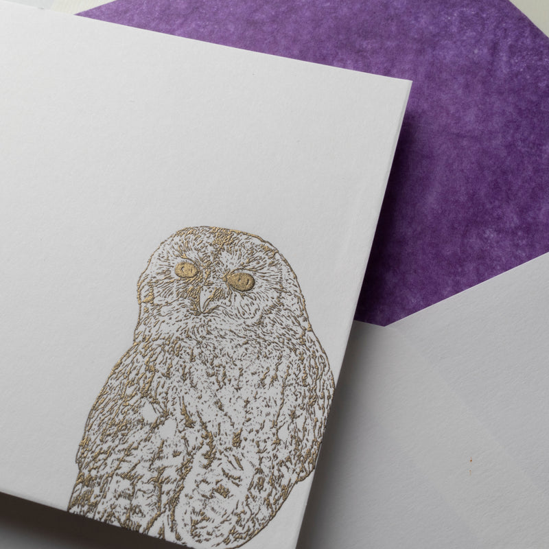 Owl Notecards